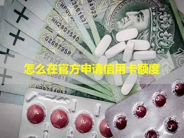 怎么在官方申請(qǐng)信用卡額度？幾種方式都可以