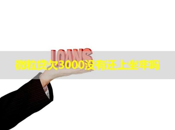 微粒貸欠3000沒有還上坐牢嗎？不會(huì)！