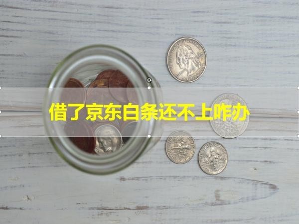 借了京東白條還不上咋辦？詳細說明