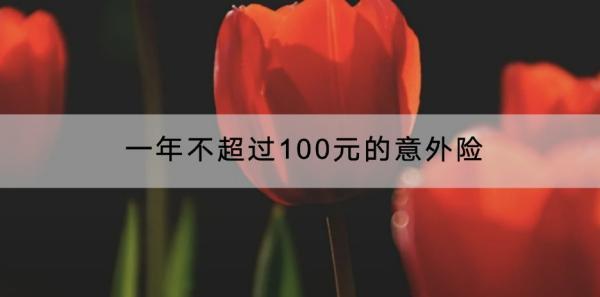 一年不超過100元的意外險