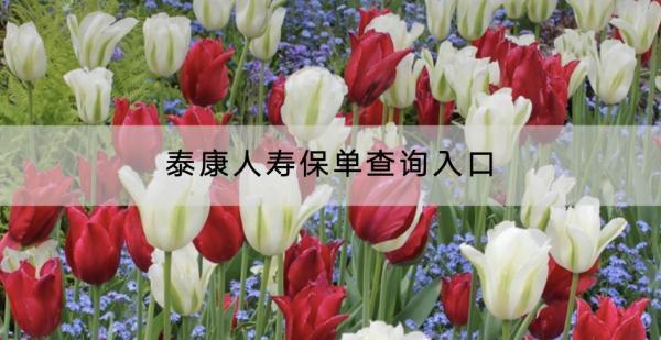 泰康人壽保單查詢?nèi)肟谑鞘裁?？好不好?>
                                            </div>
                                        </a>
                                        <h2 class=