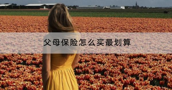 父母保險怎么買最劃算？一般多少錢？