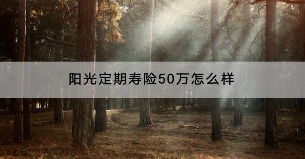 陽光定期壽險(xiǎn)50萬怎么樣