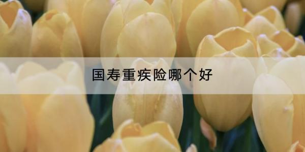 國壽重疾險(xiǎn)哪個(gè)好？一年多少錢？