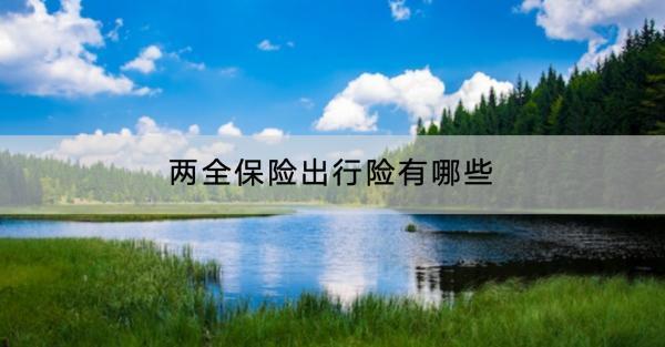 兩全保險出行險有哪些？怎么購買？