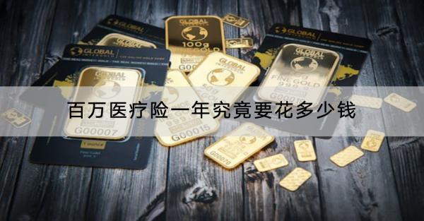 百萬醫(yī)療險(xiǎn)一年究竟要花多少錢？有哪些坑需要注意？