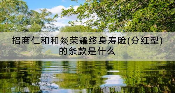 招商仁和和燚榮耀終身壽險(分紅型)
