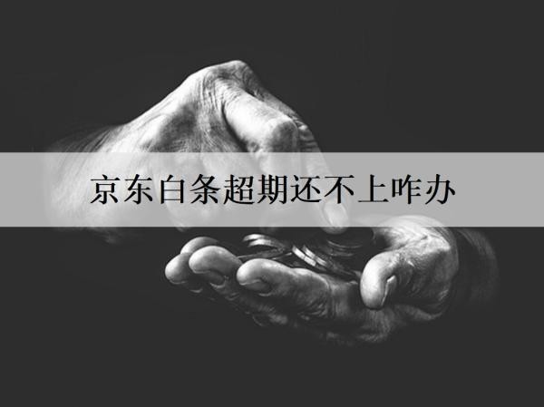 京東白條超期還不上咋辦？京東白條還不上處理辦法及后果