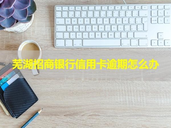 蕪湖招商銀行信用卡逾期