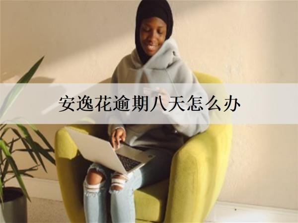 安逸花逾期八天怎么辦？安逸花逾期處理辦法及后果介紹