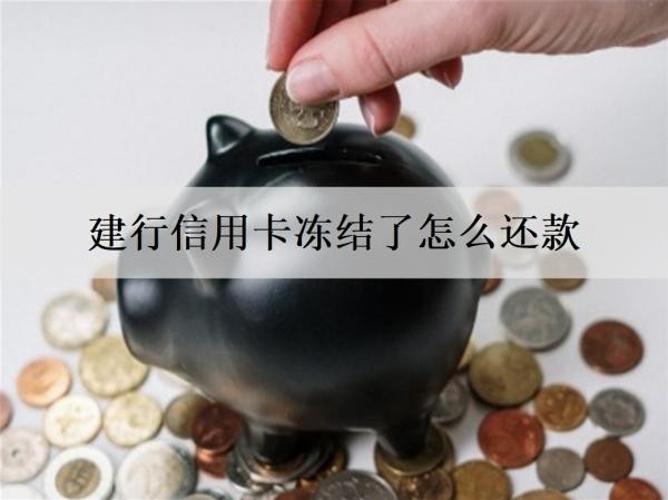 建行信用卡凍結(jié)了怎么還款？還款最高能分幾期？