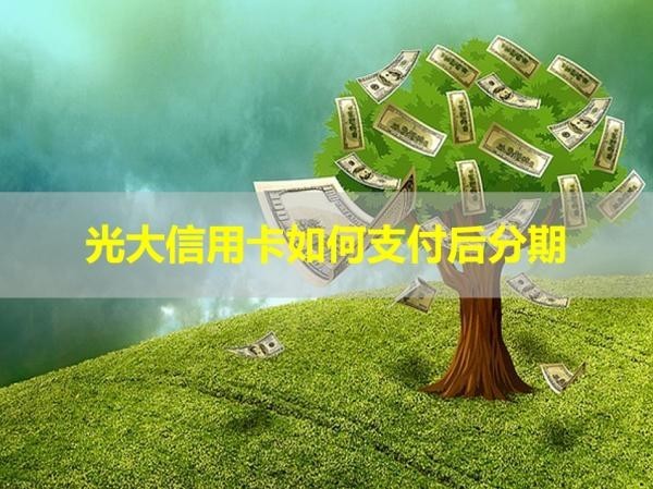 光大信用卡如何支付后分期？詳細(xì)說明