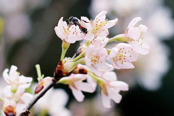 15天內退保險要辦什么手續(xù)什么？要注意什么問題？