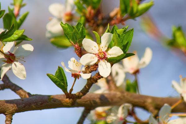 保險費率指的是純費率嗎？保險費繳納注意什么?。?/>
                                            </div>
                                        </a>
                                        <div   id=