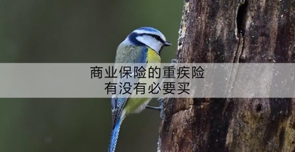 商業(yè)保險的重疾險有沒有必要買？買商業(yè)保險的重疾險注意什么啊？