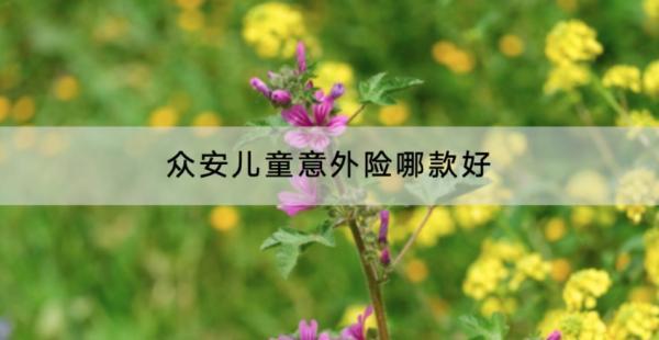 眾安兒童意外險(xiǎn)哪款好