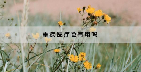重疾醫(yī)療險(xiǎn)有用嗎？哪些產(chǎn)品好？