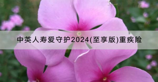 中英人壽愛守護2024(至享版)重疾險怎么樣？有哪些投保規(guī)則？
