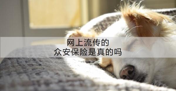 網(wǎng)上流傳的眾安保險(xiǎn)是真的嗎？附眾安保險(xiǎn)產(chǎn)品推薦！