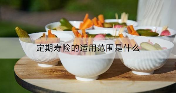 定期壽險的適用范圍是什么？需要健康告知嗎？