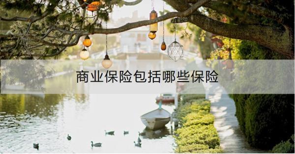 商業(yè)保險(xiǎn)包括哪些保險(xiǎn)？有什么作用啊？