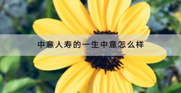 中意人壽的一生中意怎么樣？在哪里買？