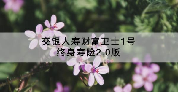 交銀人壽財(cái)富衛(wèi)士1號(hào)終身壽險(xiǎn)2.0版怎么樣？收益怎么樣？