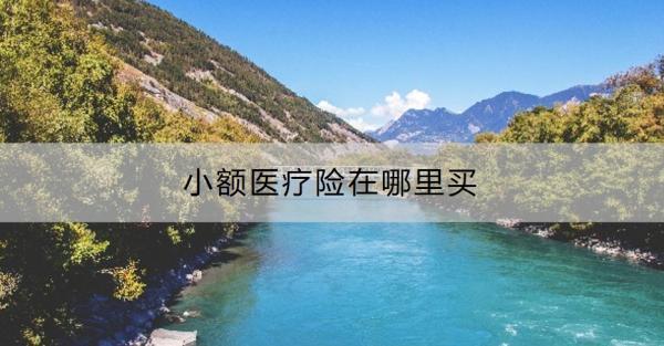 小額醫(yī)療險(xiǎn)在哪里買？特點(diǎn)有哪些啊？