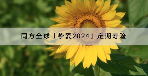 同方全球「摯愛2024」定期壽險有哪些投保規(guī)則？在哪里購買？