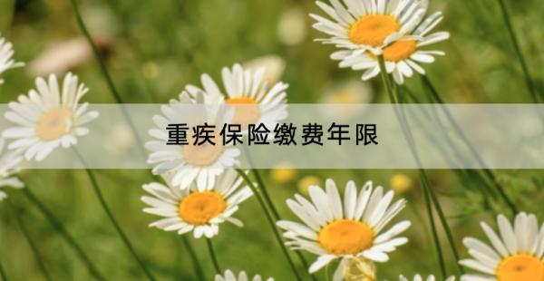 重疾保險繳費(fèi)年限是多久？怎么選？