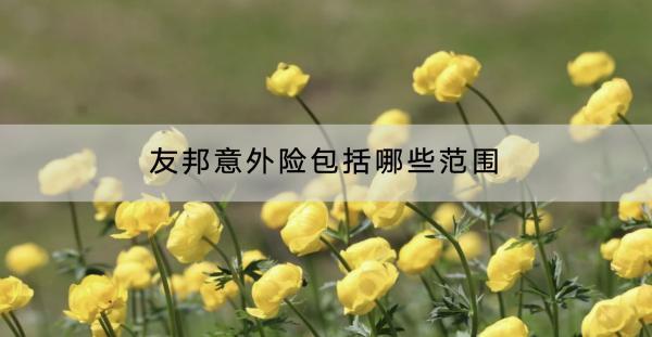 友邦意外險包括哪些范圍？好不好？