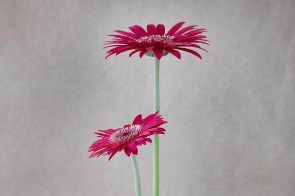 壽險(xiǎn)可以退保么？要怎樣退保？