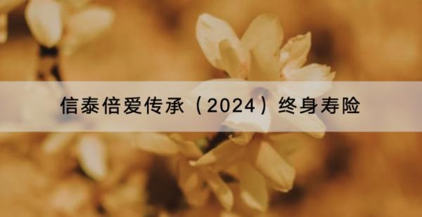 信泰倍愛傳承（2024）終身壽險投保要求是什么？有哪些增值服務(wù)？