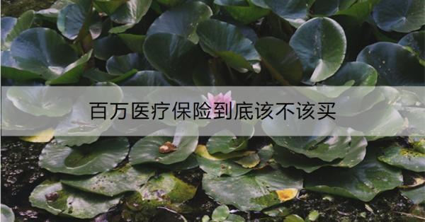 百萬醫(yī)療保險到底該不該買？怎么買?。?/>
                                            </div>
                                        </a>
                                        <div   id=
