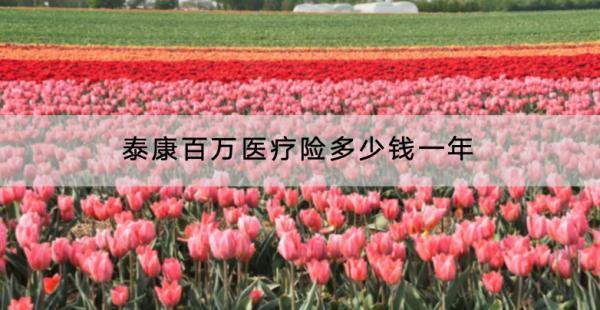 泰康百萬醫(yī)療險多少錢一年