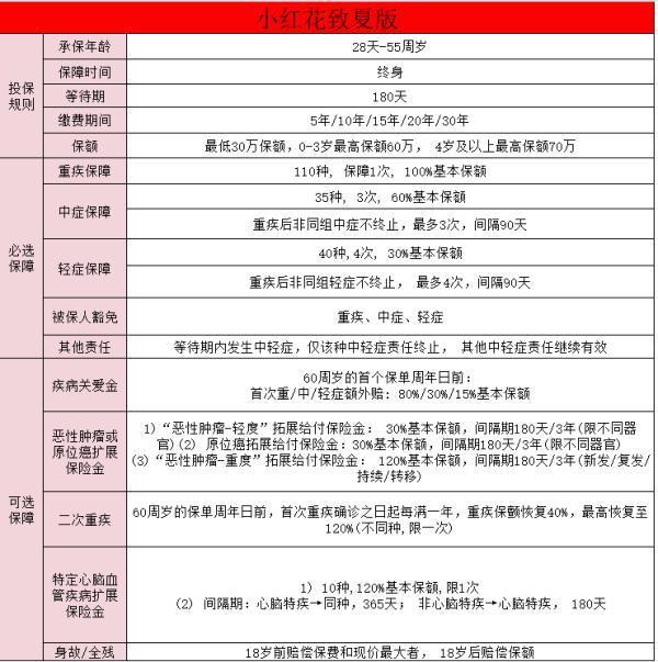 小紅花致夏版哪家保險(xiǎn)公司