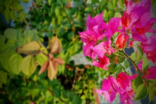 養(yǎng)老保險退保新政策2024是什么？退保后多長時間能拿到錢？