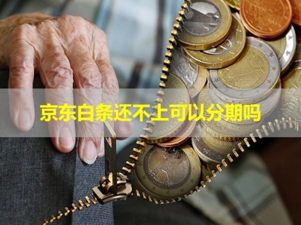 京東白條還不上可以分期嗎？試試看
