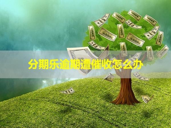 分期樂逾期遭催收怎么辦？這樣處理