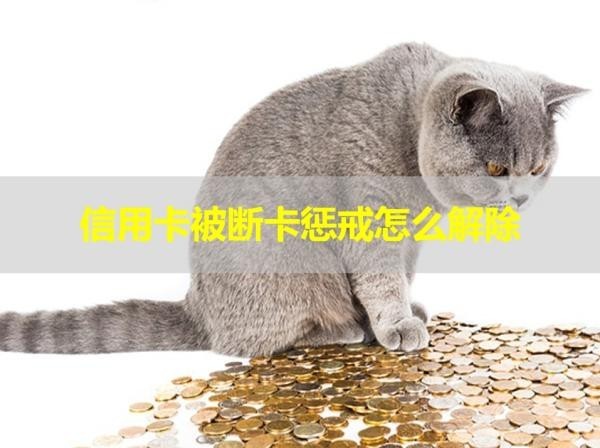 信用卡被斷卡懲戒怎么解除？兩種方式