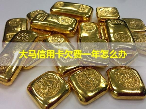 大馬信用卡欠費(fèi)一年怎么辦