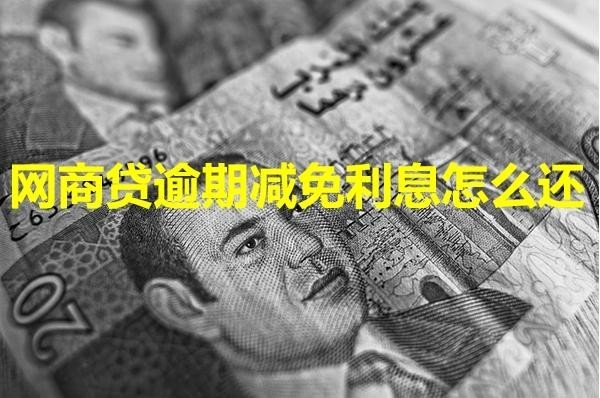 網(wǎng)商貸逾期減免利息怎么還？詳細(xì)解析