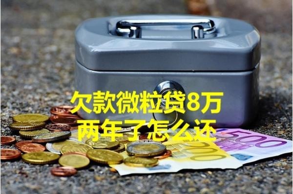 欠款微粒貸8萬(wàn)兩年了怎么還？五種方式