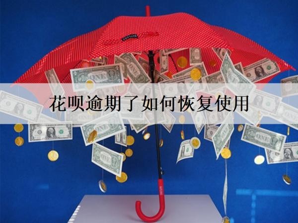 花唄逾期了如何恢復(fù)使用？逾期了為什么會催收？