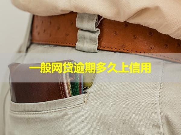 一般網(wǎng)貸逾期多久上信用？看完就知道
