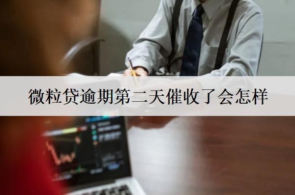 微粒貸逾期第二天催收了會(huì)怎樣？微粒貸逾期解決辦法分享