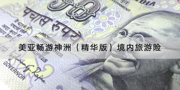 美亞暢游神洲（精華版）境內(nèi)旅游險可以保障什么？在哪里購買？
