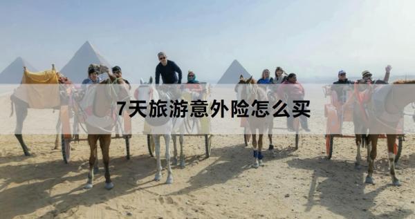 7天旅游意外險怎么買？購買需要注意什么??？