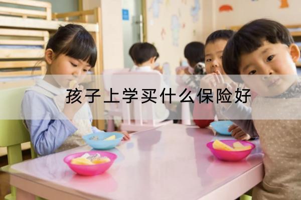 孩子上學買什么保險好？可以選擇什么產(chǎn)品？