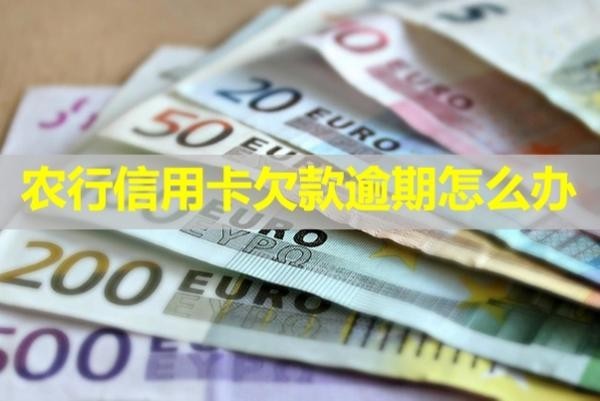 農(nóng)行信用卡欠款逾期怎么辦？教你解決問題